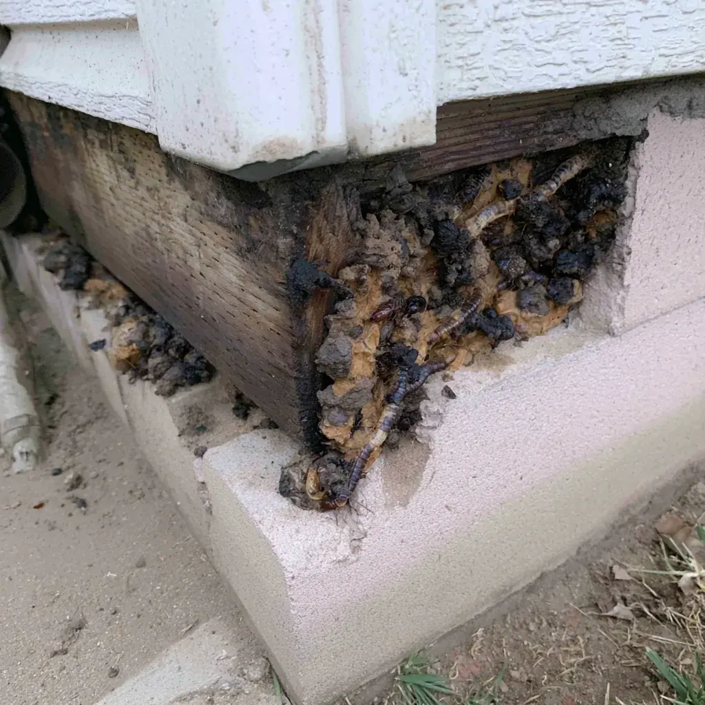 Common problems in High Point, NC